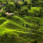 Sri Lanka named best country for travel in 2019 by Lonely Planet