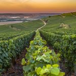 10 of the most beautiful wine regions in Europe